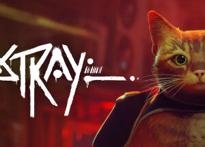 Stray